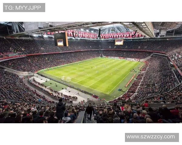 从零基础到高手之路乒乓球耐力训练全方位指南