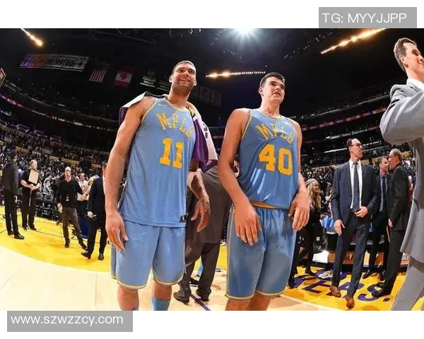 布鲁克洛佩斯：从内线巨兽到全能球员的华丽转身与职业生涯回顾