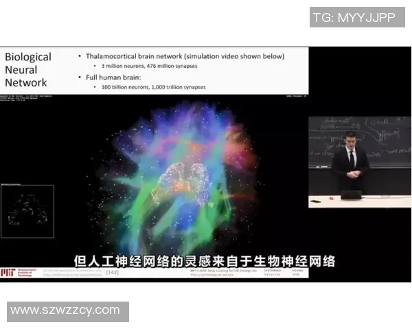 德独立与艾茵的对决：历史背景与文化影响的深度剖析