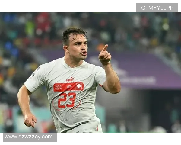 塞尔维亚对阵瑞士亚盘分析及投注建议解析