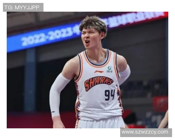 王哲林在CBA赛场的崛起与挑战解析，展望未来篮球生涯的无限可能性