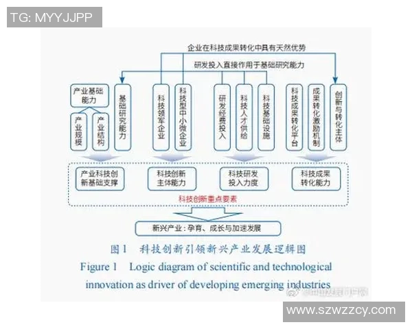 FLC清化与庆和的对决分析及未来发展潜力探讨