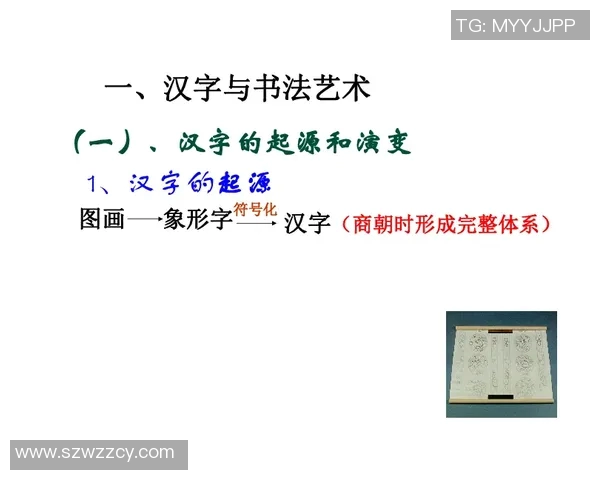 探索弗格的魅力与影响力：从历史到现代的全景分析与思考