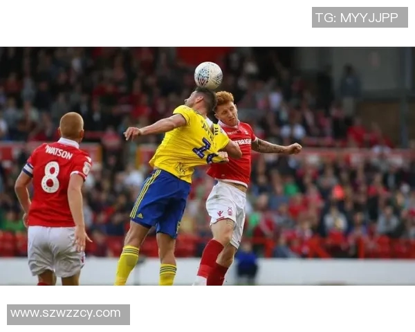 查尔顿对米尔沃尔比赛分析与胜负推荐策略分享