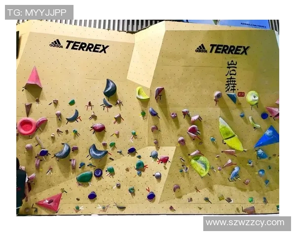 成都攀岩队在极限运动世界杯中的团队协作表现分析与点评MBA