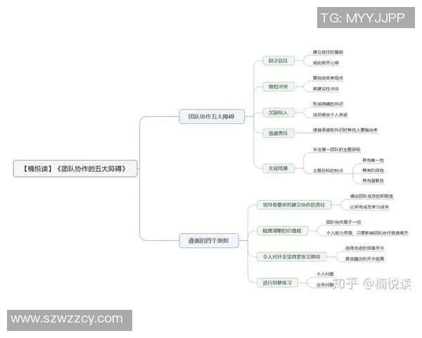 TES在大师赛中的灵活战术运用与团队协作分析 TES在大师赛中的灵活战术运用与团队协作分析