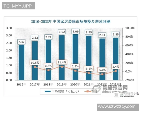 深圳羽毛球队运营策略深度分析与发展前景探讨