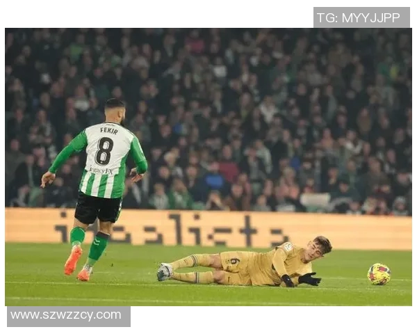 阿尔及利亚与尼日利亚足球对决深度分析及战术解析