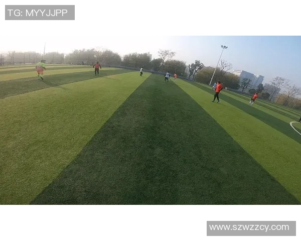 重庆足球队实力对比深度剖析各队表现与潜力的独特视角